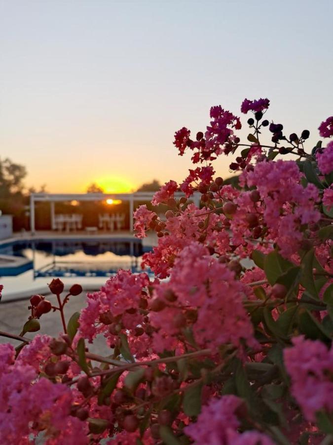 Peperosa B&B And Events Nettuno Exterior foto